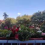 Bella Rosa