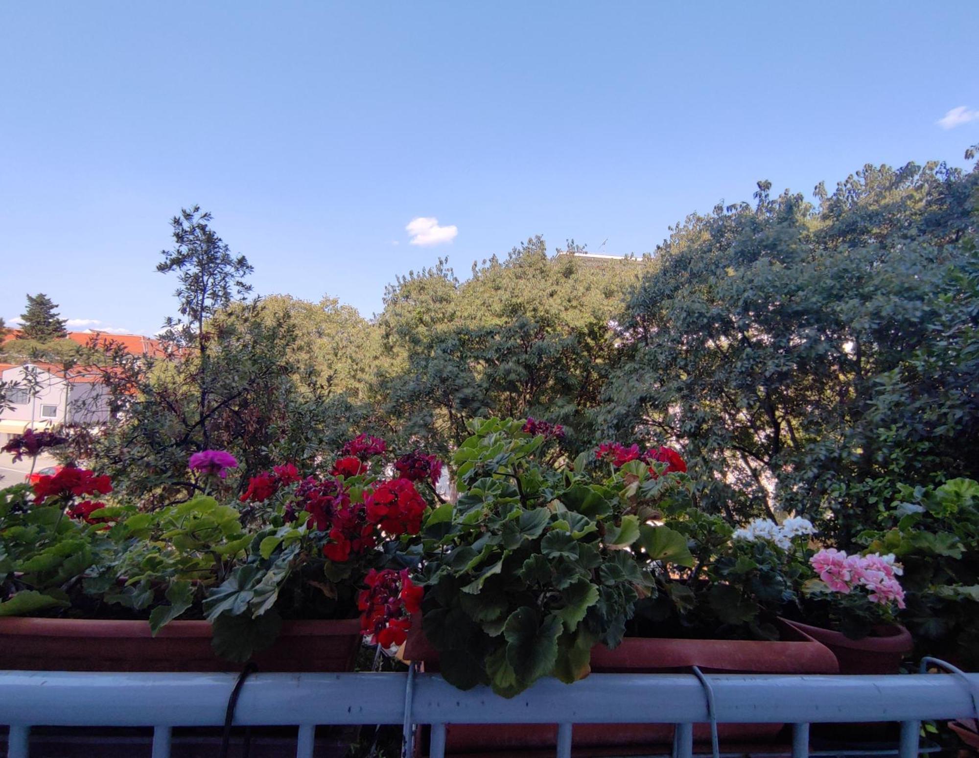 Apartmán Bella Rosa *